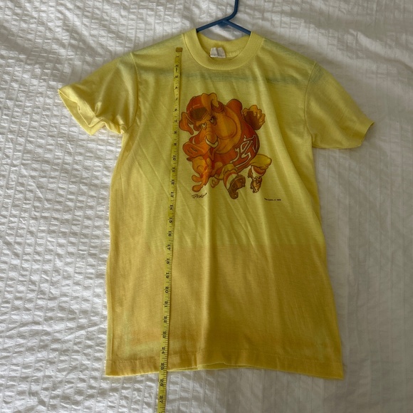 Arkansas Razorbacks 1970s single stitch tshirt - Picture 7 of 7